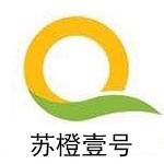 苏州苏橙壹号装饰工程有限公司