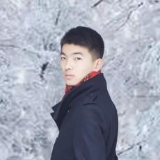 王云龙