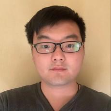 陈高照