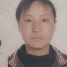张果梅